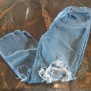 AGOLDE 90s Pinched Waist Jeans